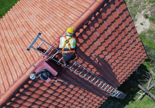 Roof Moss and Algae Removal in Brookside Village, TX